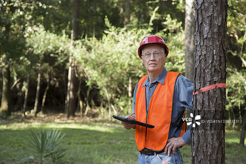 护林员给要砍伐的树木做标记。他随身携带一台电子平板电脑，穿着安全背心，戴着安全帽。图片素材