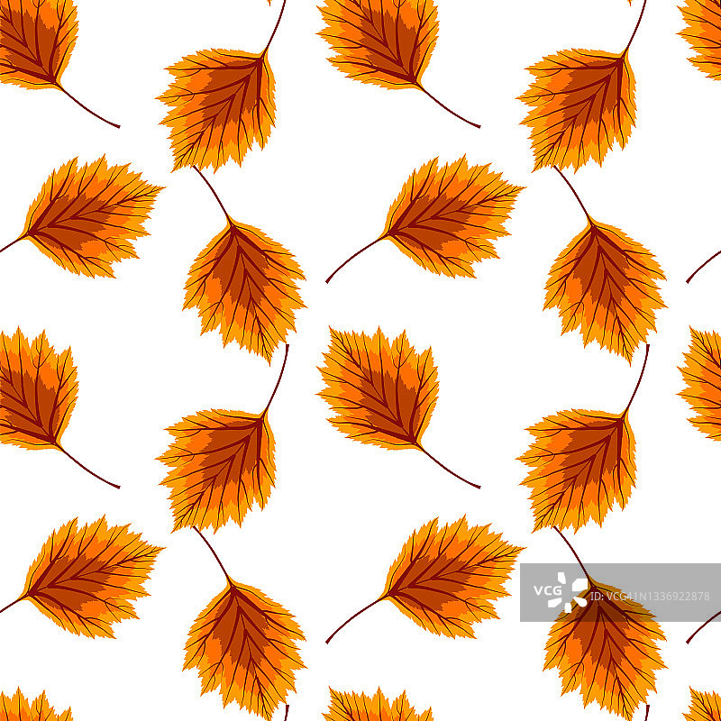 抽象矢量插图秋天的背景与秋天的落叶。无缝模式。EPS10图片素材
