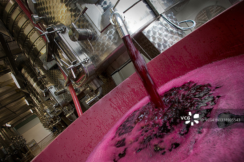 博尔盖里，利沃诺-托斯卡纳，意大利-生产葡萄酒的过程图片素材