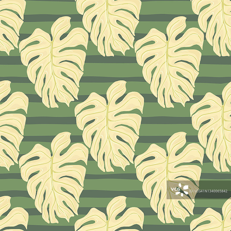 柔和的色调树叶热带无缝模式与浅米色的棕榈怪物打印。绿色条纹的背景。图片素材