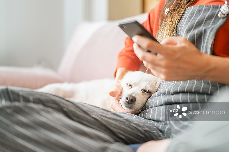 一位女士在家里的客厅里用智能手机和狗狗一起听音乐图片素材