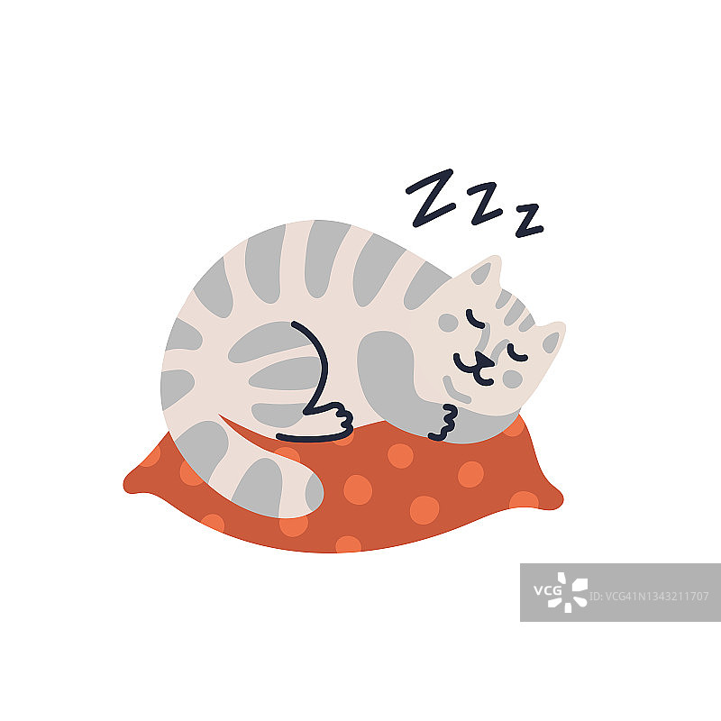矢量猫插图，可爱的虎斑小猫睡在枕头上。矢量插图在平面卡通风格的白色背景图片素材