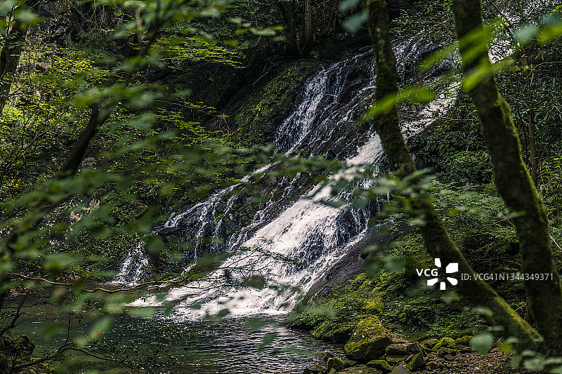 从森林深处的树枝上可以看到隐藏的瀑布。图片素材