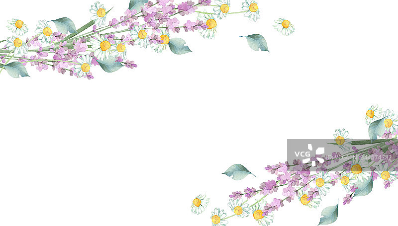 水彩草本花卉装饰图片素材
