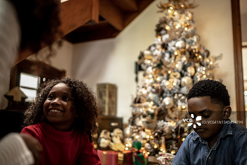 兄弟姐妹坐在家里的圣诞树旁图片素材