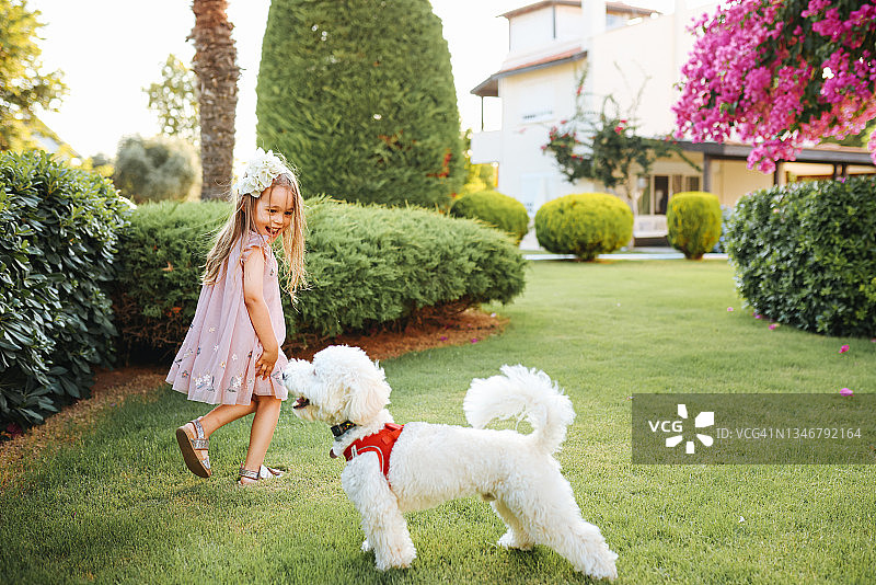 可爱的女孩带着一只漂亮的狗在家里的花园里散步图片素材