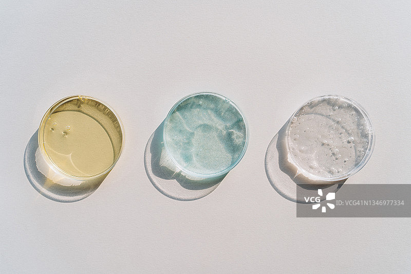 三个培养皿含有含有聚谷氨酸-新的透明质酸的面部血清或凝胶。化妆品实验室研究的概念。摄影平铺风格与复制空间图片素材