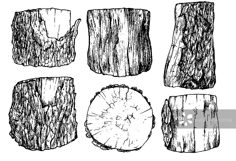 素描风格的一组树桩。独立的木质部分的黑色轮廓，带有树皮纹理的手绘十字锯树干元素，白色背景上的侧面和顶部视图，为您的设计模板图片素材