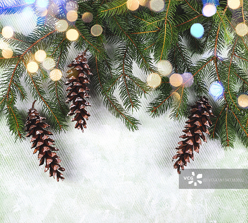 淡绿色背景上有松果的圣诞树树枝图片素材