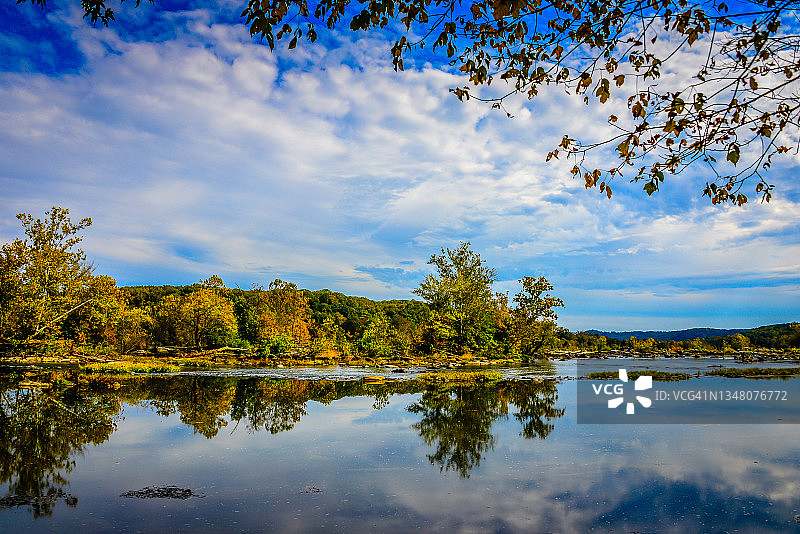 弗吉尼亚州大瀑布市，波托马克河岸边五颜六色的秋叶图片素材