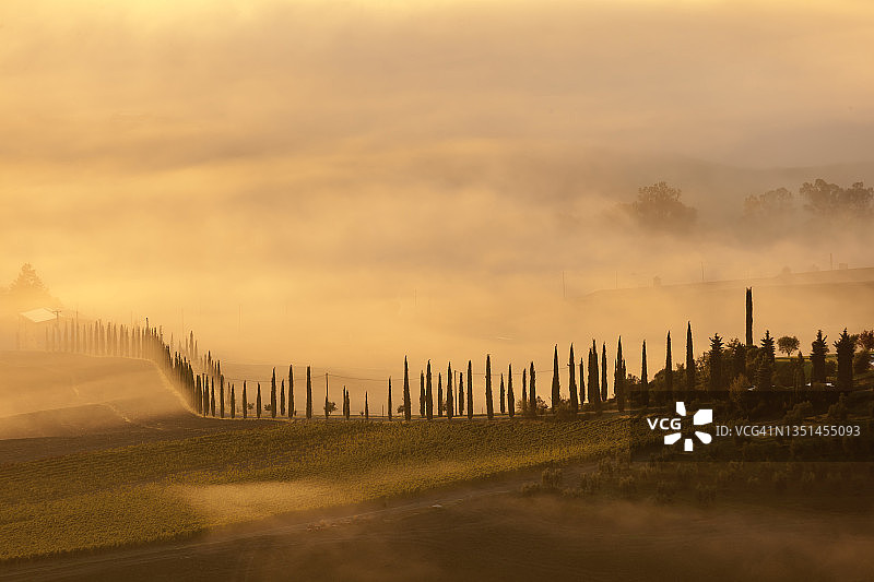 有雾的托斯卡纳风景图片素材