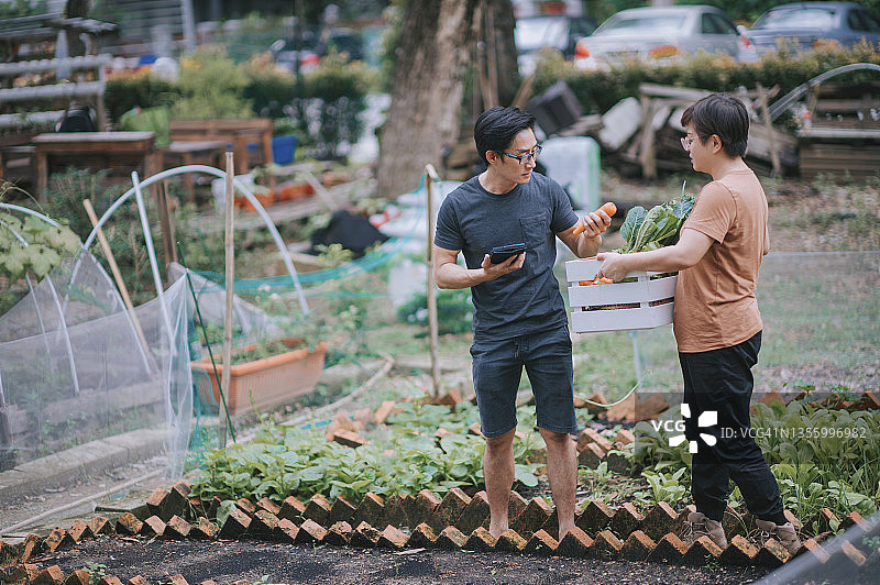 一对亚洲华人中年夫妇对自己收获的国产蔬菜感到满意图片素材