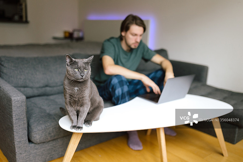 一个男人在家里和他的家猫一起工作图片素材