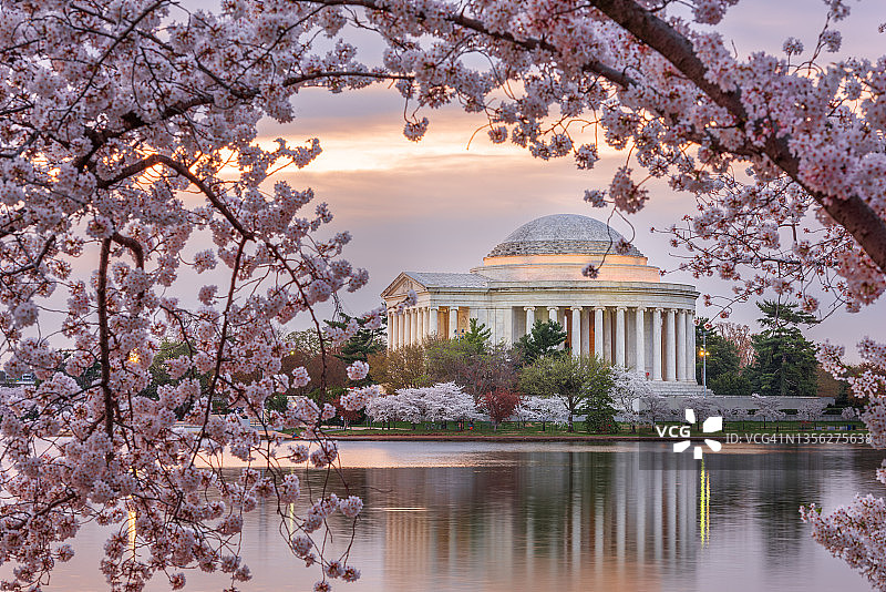 美国华盛顿特区，杰斐逊纪念堂和潮汐盆地图片素材