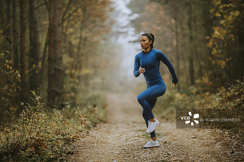 年轻女子在秋天的森林小道上跑步锻炼图片素材