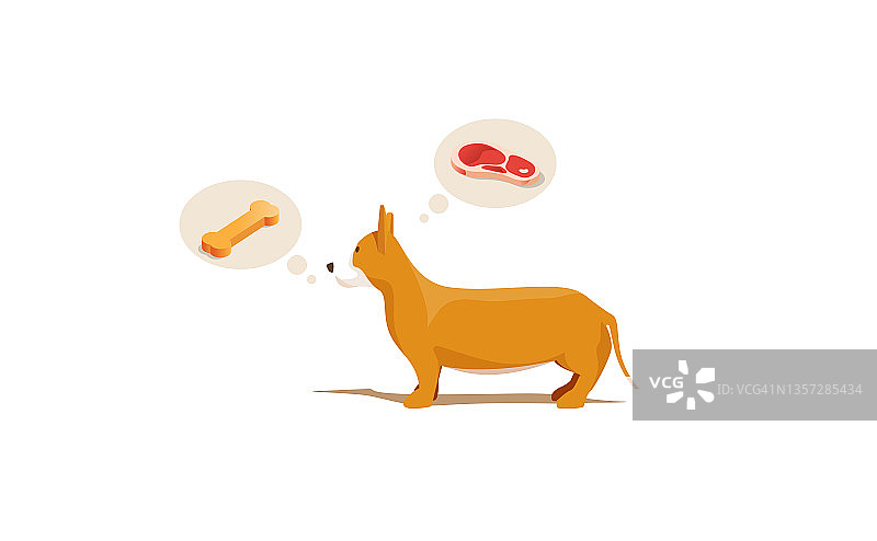 矢量插图的卡通狗找到一个罐头，想要吃骨头和肉。前视图图片素材