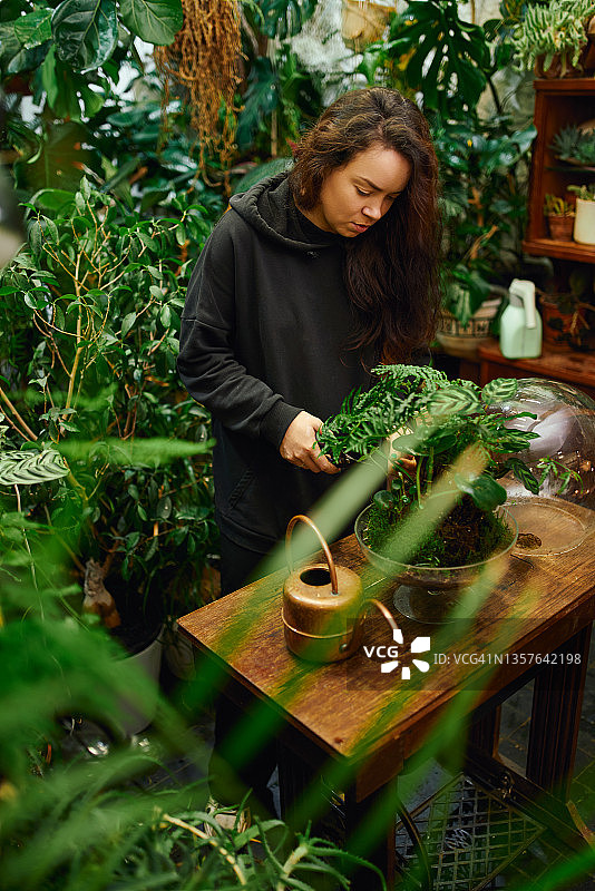 年轻女子正在修剪植物的绿叶图片素材