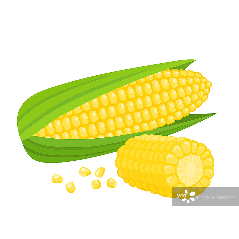 明亮的向量收集彩色的黄色玉米孤立在白色图片素材