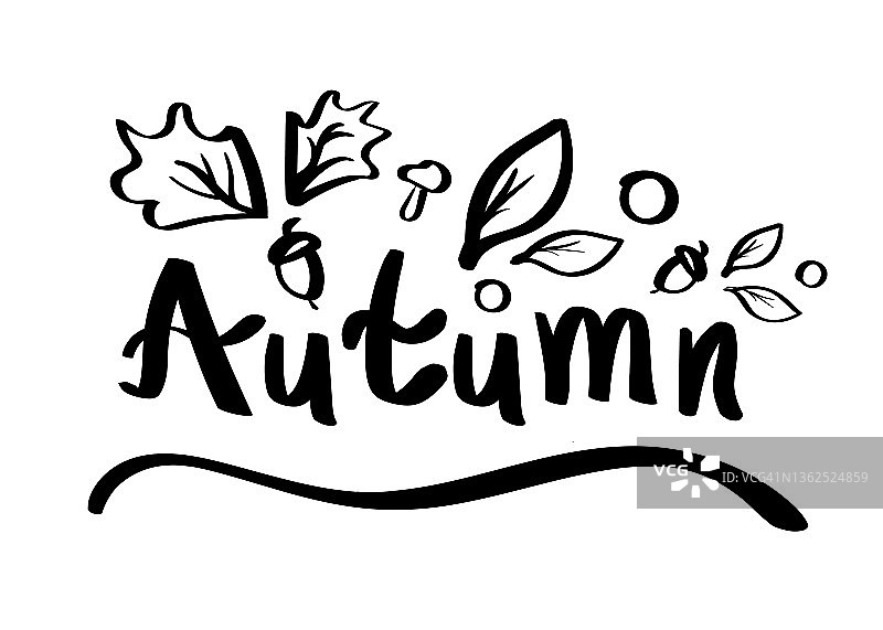 秋季字母涂鸦矢量轮廓画概念。季节插图与叶子，孤立的手绘文本打印模板。字体设计海报。图片素材