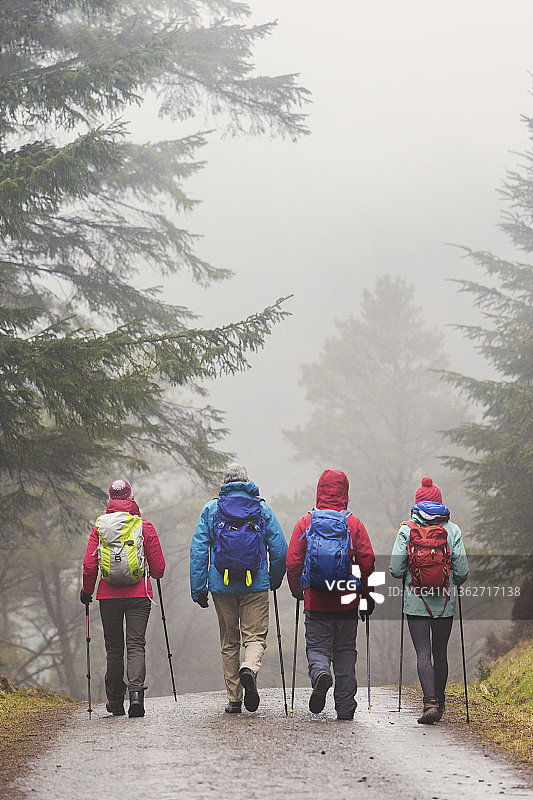 一家人背着背包在雨天的树林里徒步旅行图片素材