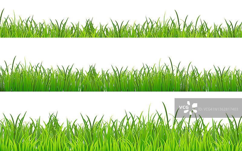 绿草边界设置孤立的白色背景。夏季草坪集合。一簇簇的草排成一行。海报草甸全景图。草药元素为您的设计。矢量插图EPS10图片素材