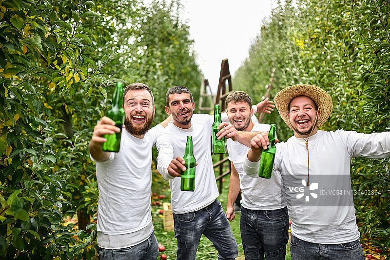苹果园男性工人的啤酒派对时间图片素材