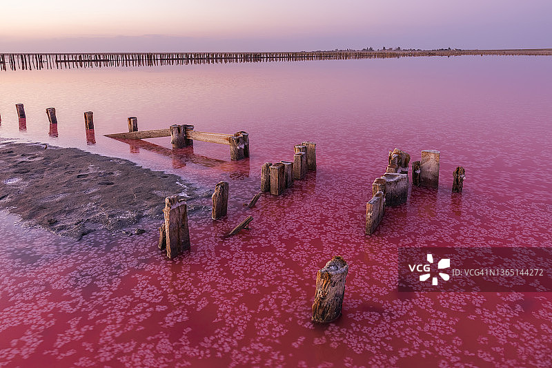 夕阳下粉红色盐湖上的盐。粉红盐湖托雷维耶哈图片素材