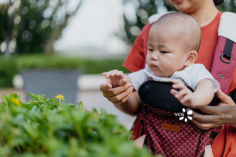 好奇的亚洲宝宝在户外公园触摸植物叶子图片素材
