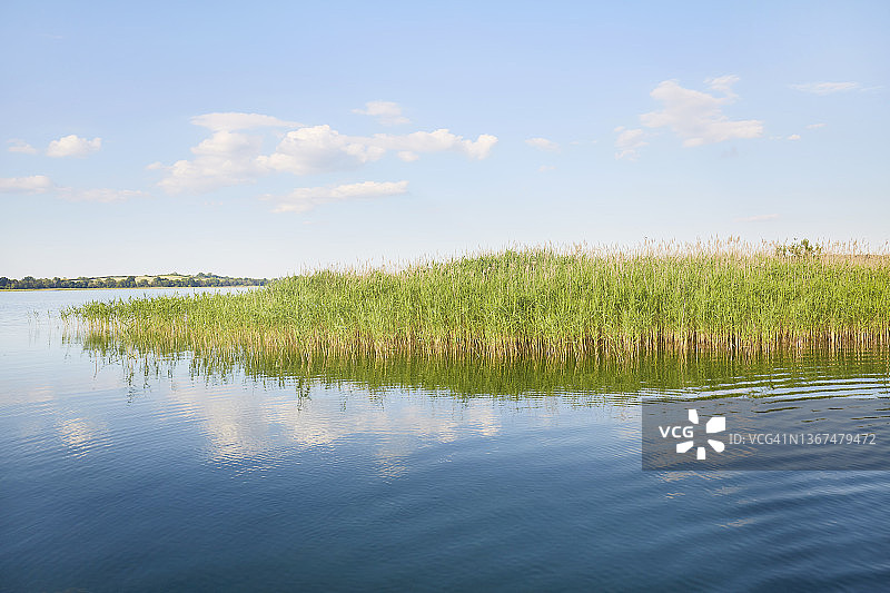 田园诗般的湖泊，芦苇丛生，蓝天白云倒映在平静的水面上图片素材