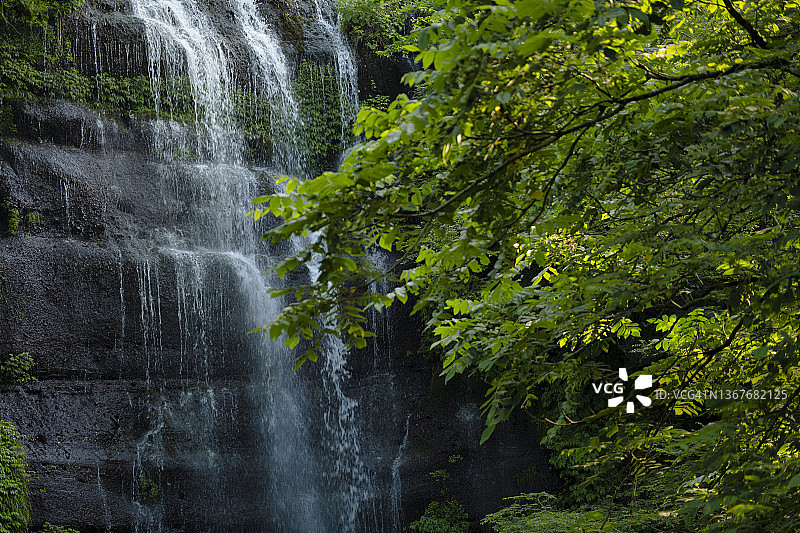 初夏风景瀑布，树叶繁茂图片素材