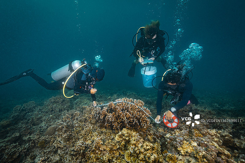 潜水者在水下研究珊瑚图片素材