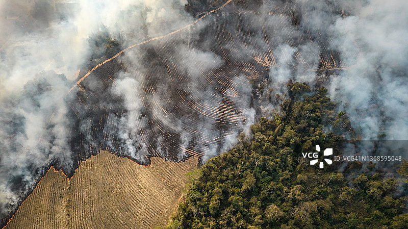 在一场火灾中，农田和树木燃烧时，浓烟升起图片素材