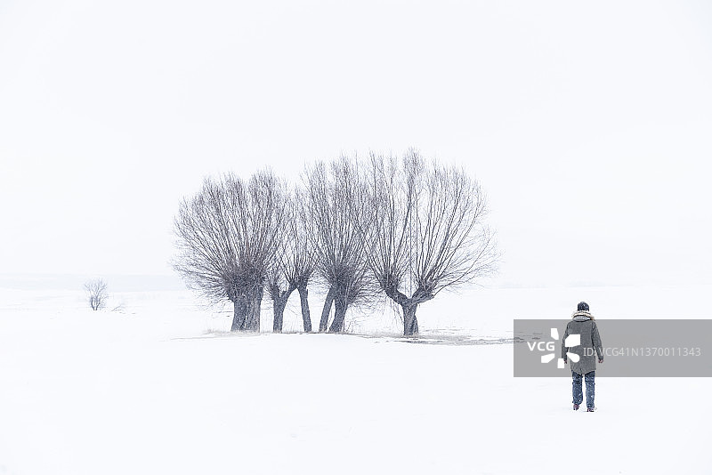 当人类走向倒下的树木和白雪覆盖的平原上可见的树木时的背景图片素材