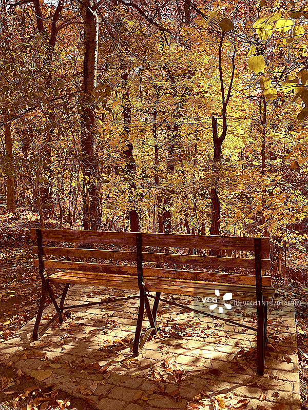 公园长椅在秋天。图片素材
