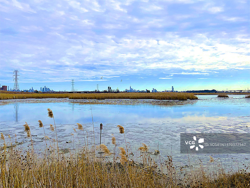 湿地上的草，远处有收费高速公路和曼哈顿天际线，林德赫斯特图片素材