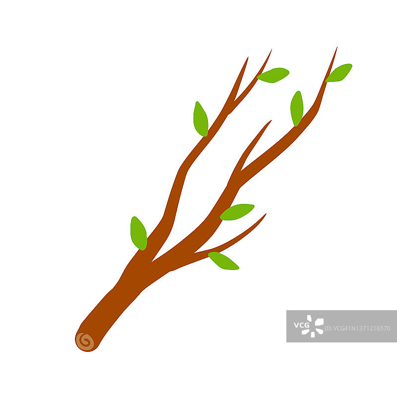 树枝与叶在白色背景插图。图片素材