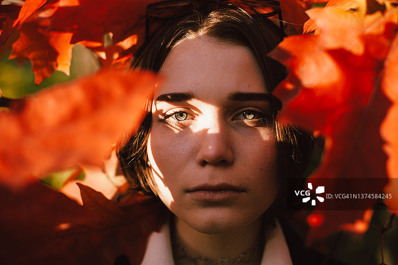 秋日红叶丛中少女的肖像图片素材