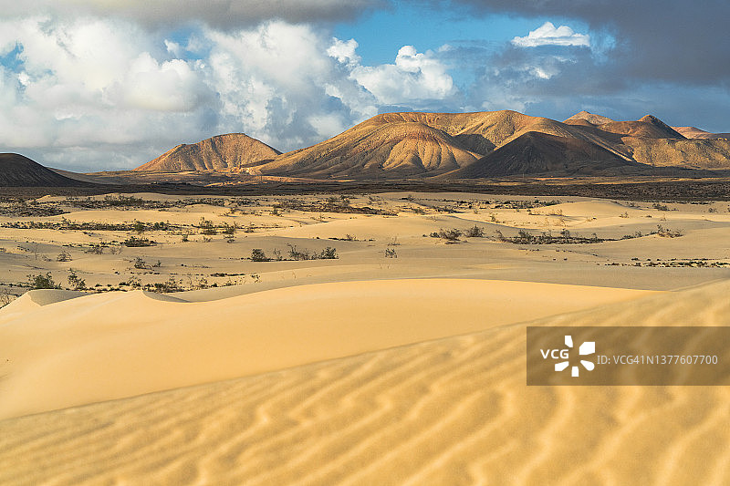 科拉列霍火山景观中的沙丘图片素材