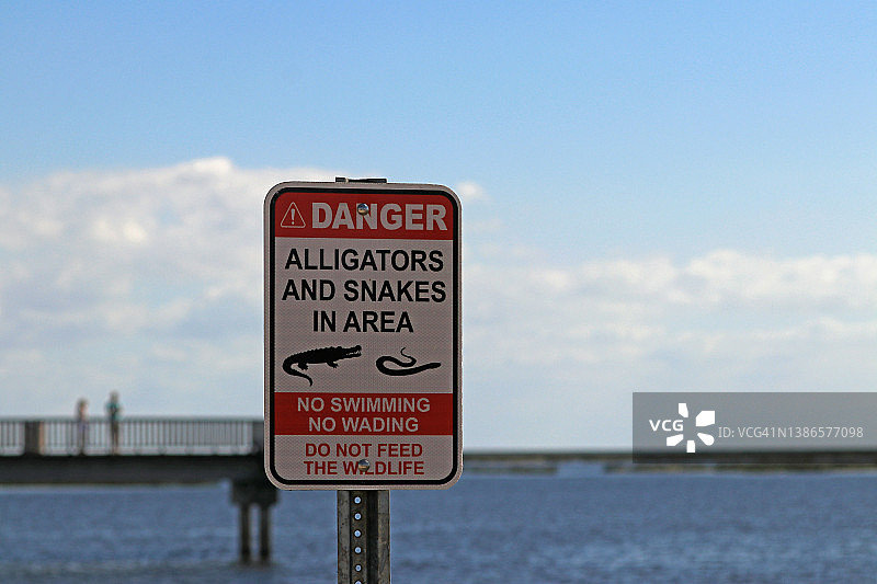 在佛罗里达州奥基乔比湖附近的一个公园里发现了短吻鳄和蛇的警告标志图片素材