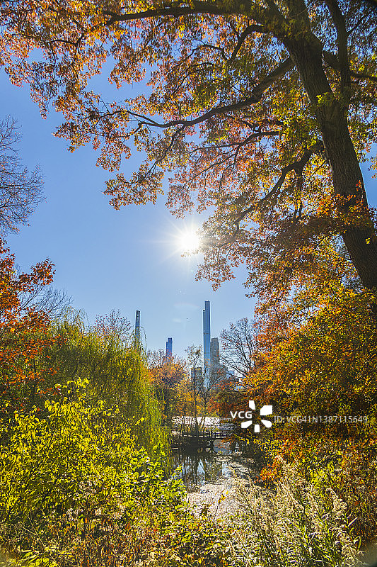 2021年，纽约中央公园的秋叶彩树在发光图片素材