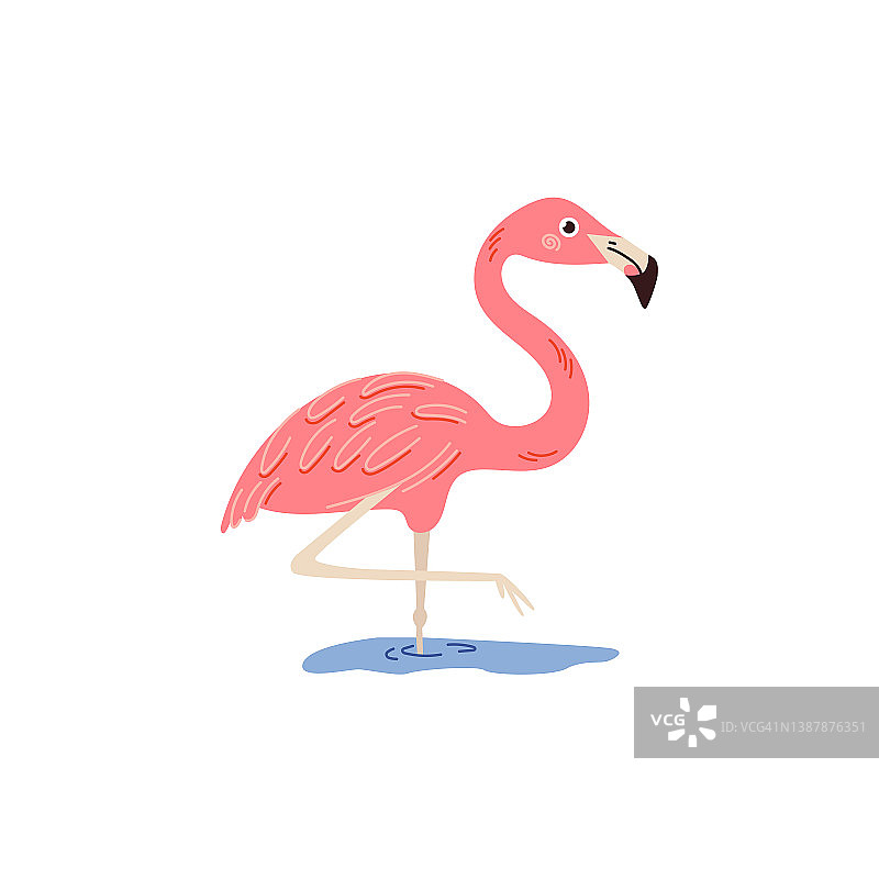 白色背景上的粉红色火烈鸟。矢量插图。图片素材