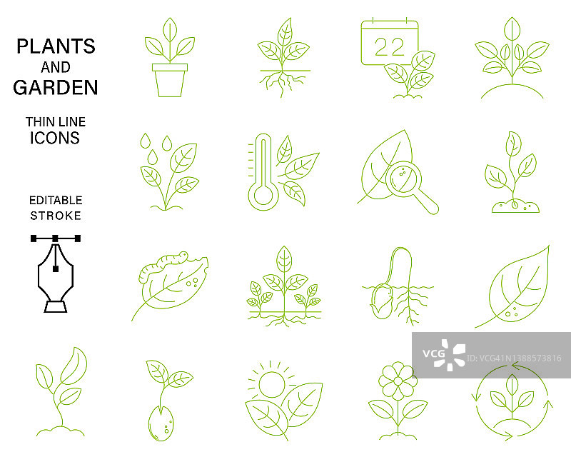 植物花园细线图标设置。透明基础上可编辑的笔画图片素材