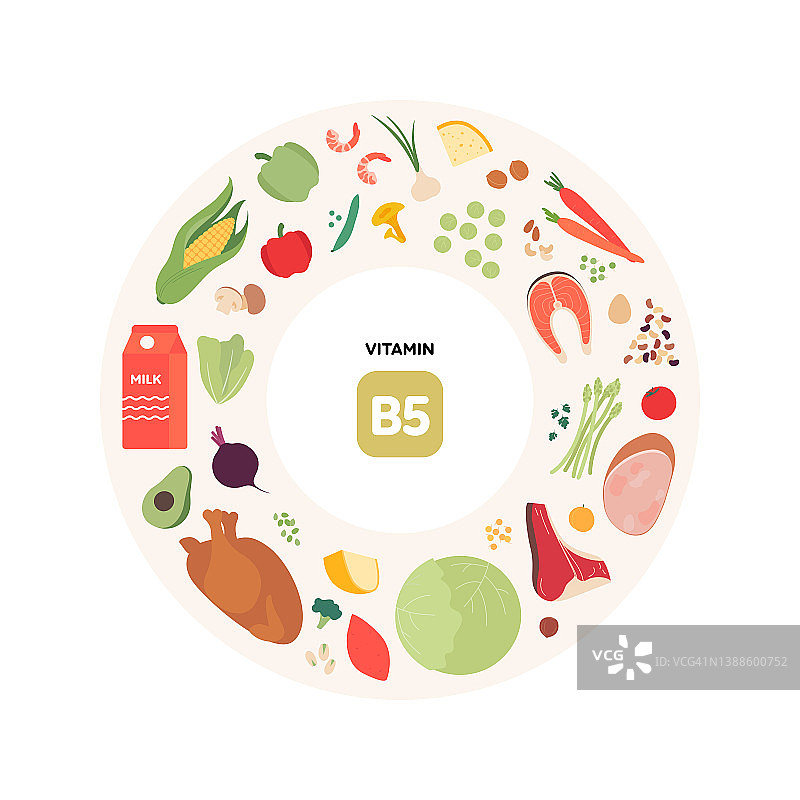 健康饮食指南理念。矢量平面插图。b5维生素来源信息图。彩色肉类，家禽，海鲜，蘑菇，水果，蔬菜，奶制品和豆类图标集。图片素材