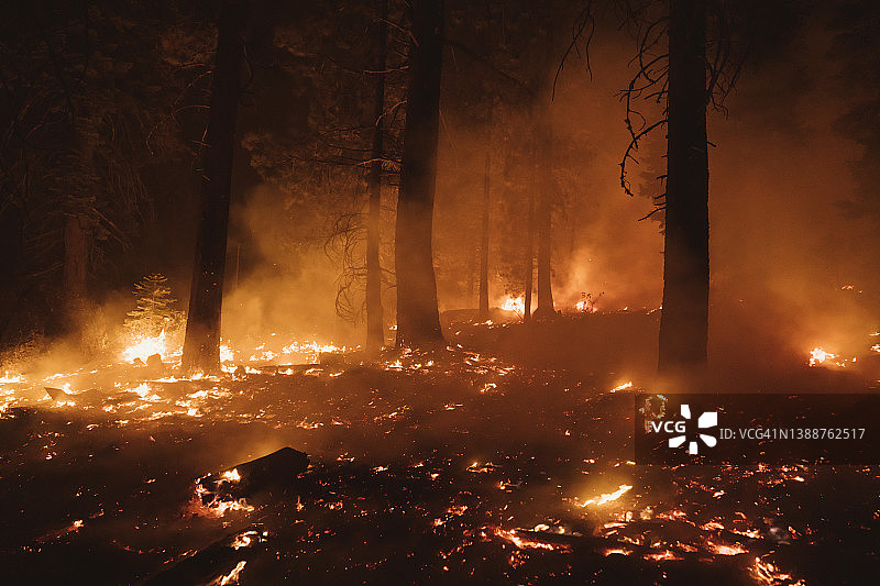 燃烧的森林图片素材