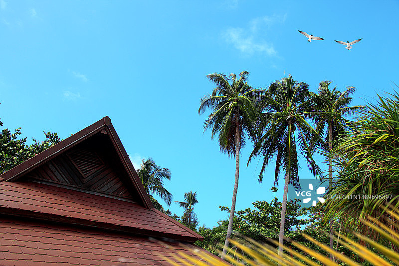 阳光明媚的热带岛屿的清新图片素材