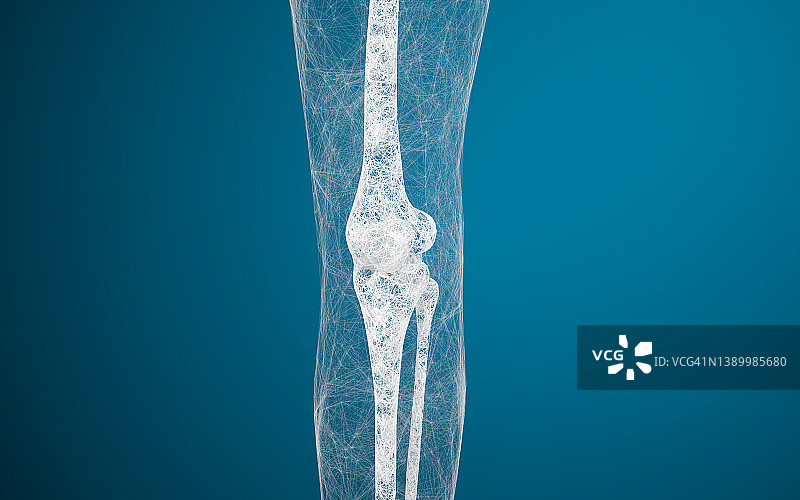 腿骨和膝盖，3d渲染。图片素材