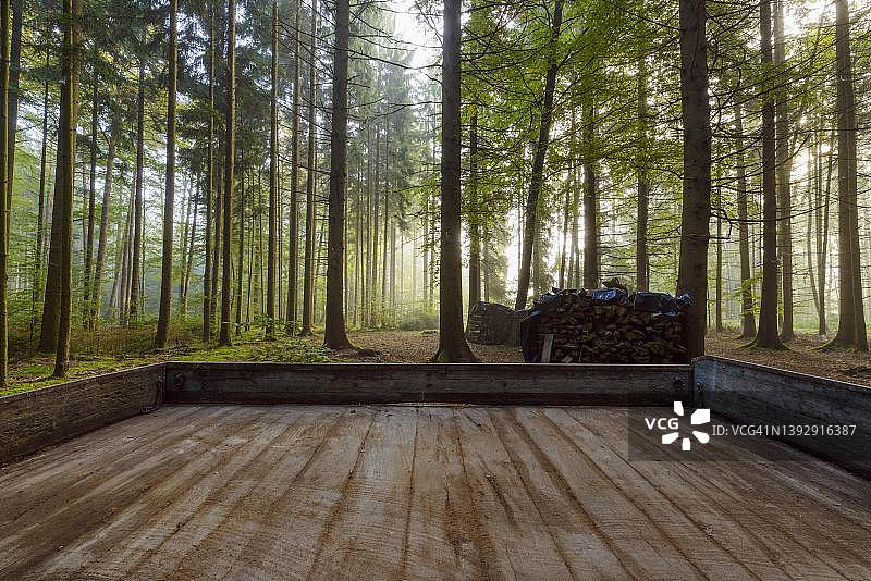 木头拖车装载在森林，奥登瓦尔德，黑森州，德国图片素材