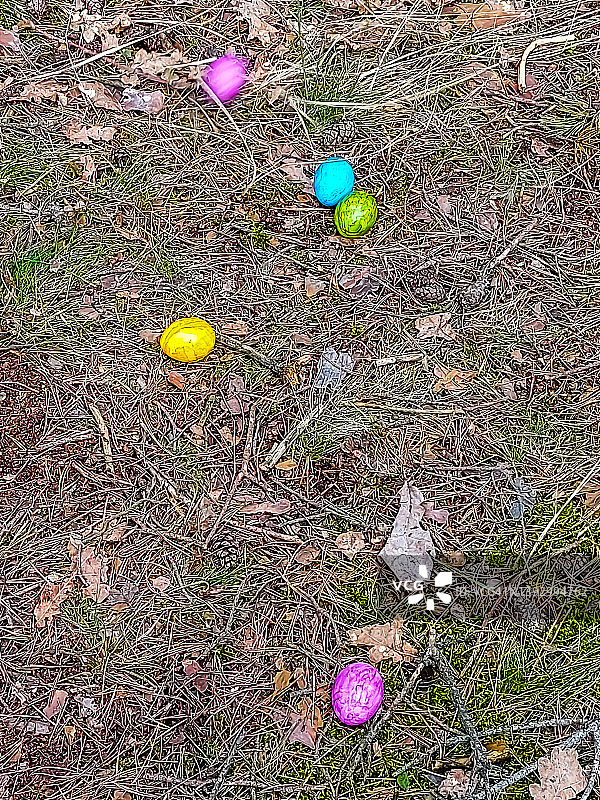 五颜六色的蛋在森林的地面上翻滚图片素材