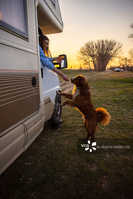 一个顽皮的女人在露营车里和狗狗玩耍图片素材