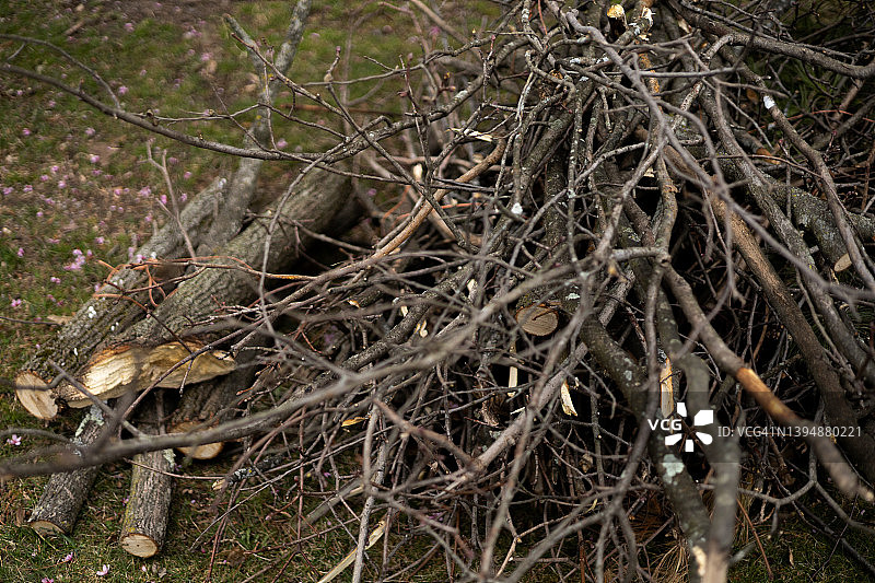 春季庭院清理:路边堆放树枝、树枝，便于垃圾回收图片素材